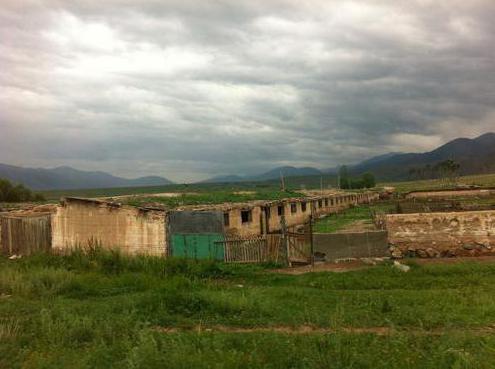 types of diversification