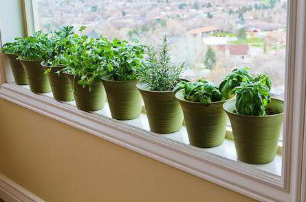 how to survive during a crisis