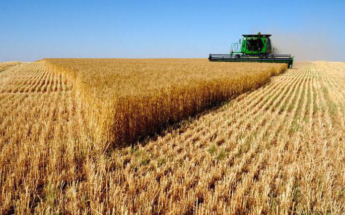 industry and agriculture