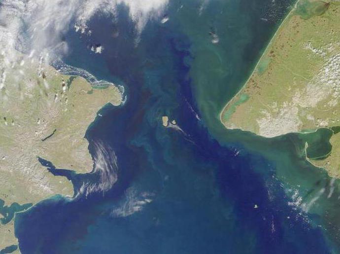 length of maritime borders of Russia