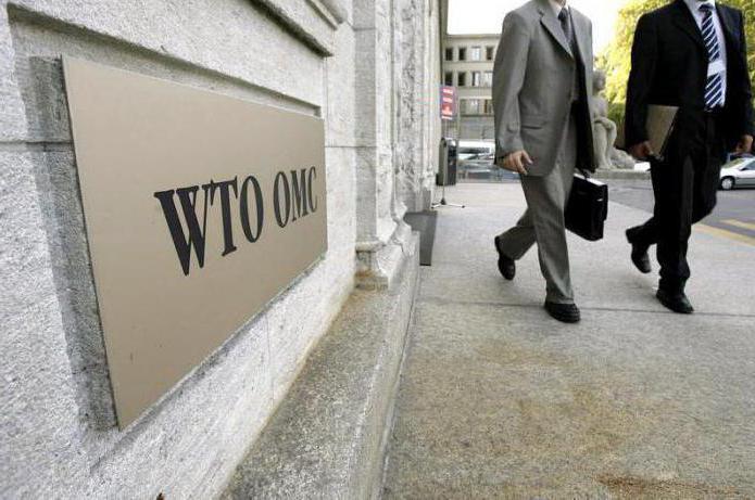 activities of the world trade organization