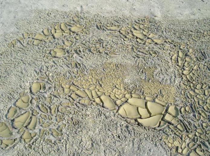 disturbed land reclamation project