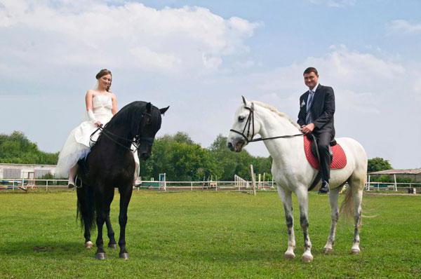 problems of biology of productive animals