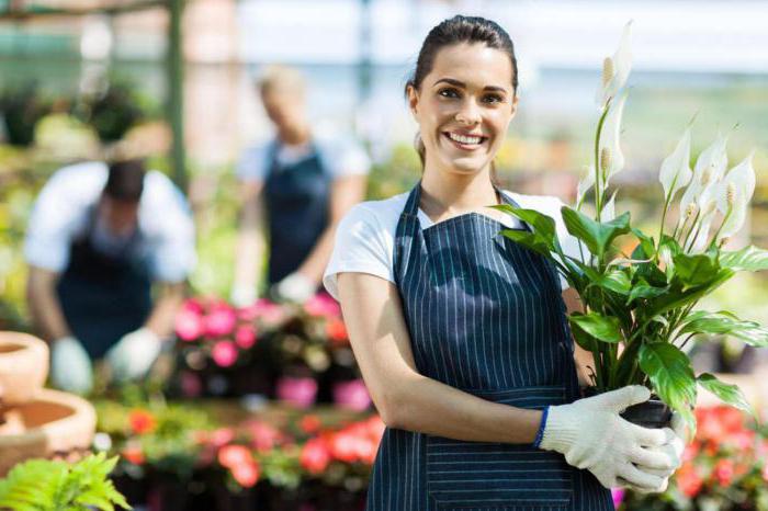 unified register of small and medium-sized enterprises