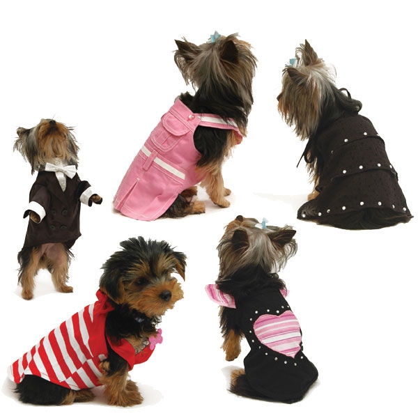 What do you need to open a pet store?