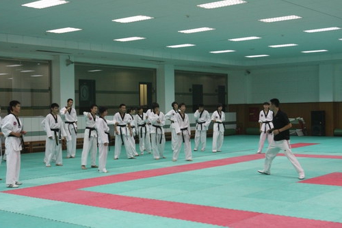 How to open a martial arts section