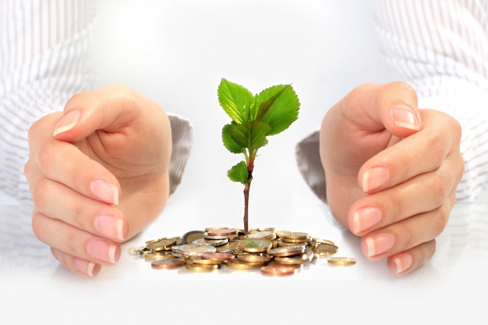 How to open your own business without seed capital