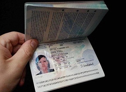 application for a passport sample