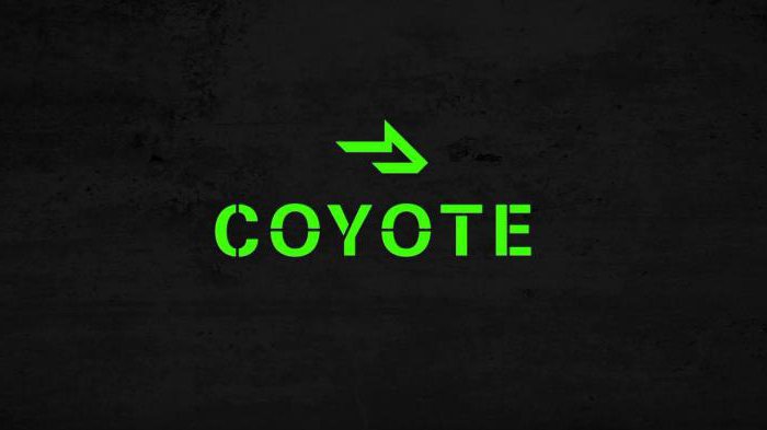 the most successful women in the business world