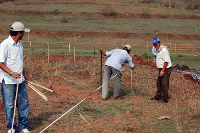 cadastral passport of the land how to get in Tambov