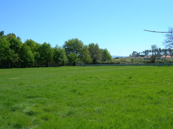 land cadastral passport how to get belgorod