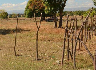 state cadastral registration