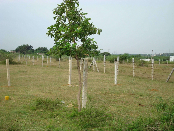 state cadastral registration of land