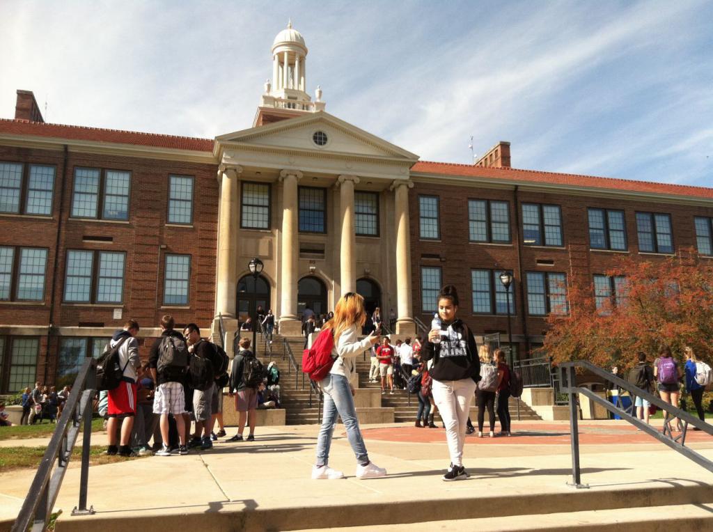 What is the difference between a gymnasium and a school and lyceum