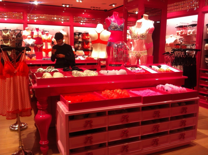 lingerie store business plan