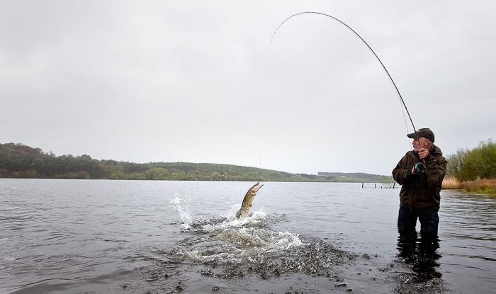 choose a spinning for pike fishing choose a spinning for pike fishing