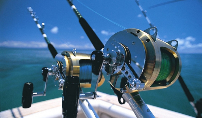 help me choose a spinning reel