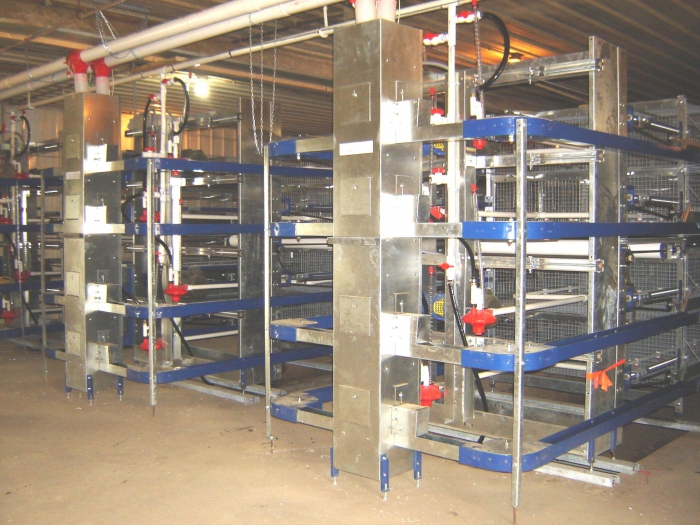 quail farm equipment