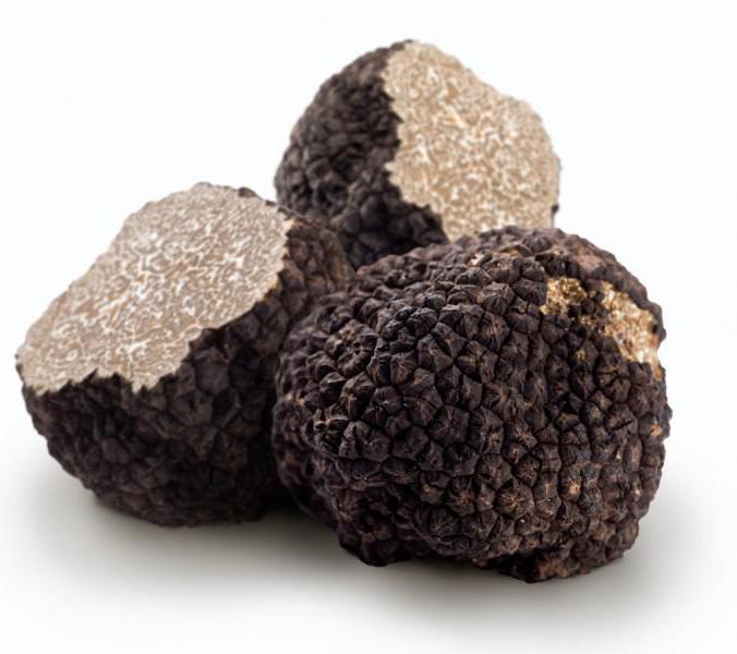 the most expensive mushrooms title