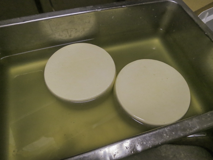 cheese production technology