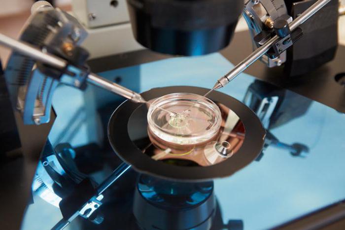  get a free eco quota