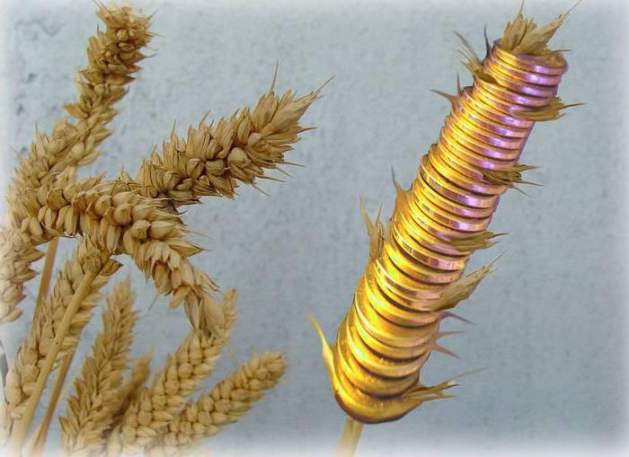 gross and net investment