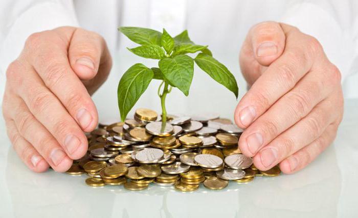 net investment equal