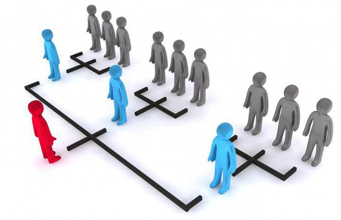 partners in mlm business