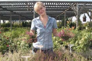 small business options for beginners