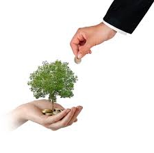 home business options