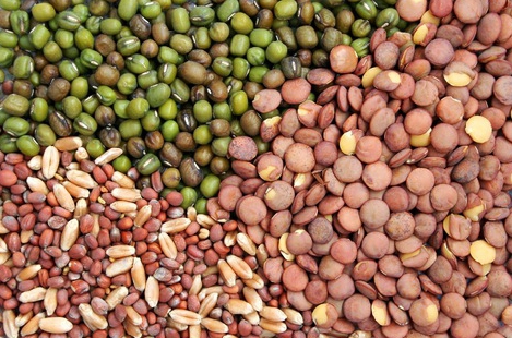 professional flower seeds