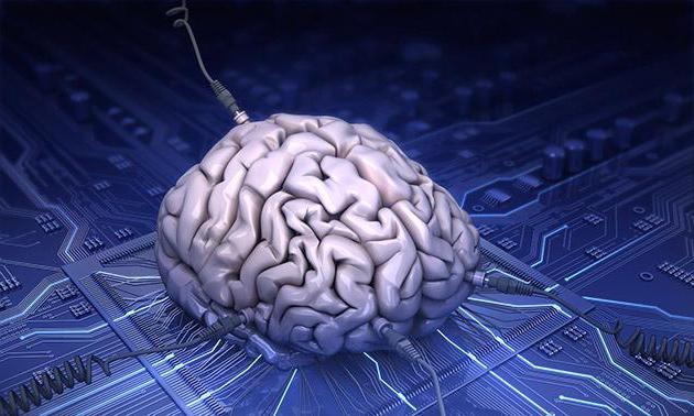 examples of methods of theoretical knowledge