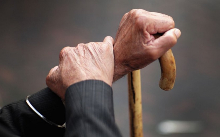 What are the subsidies for pensioners?