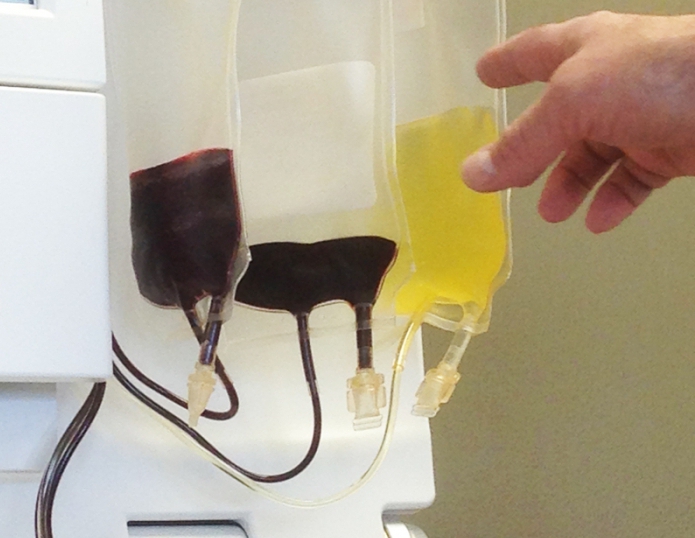 Benefits of Honorary Donor of Russia