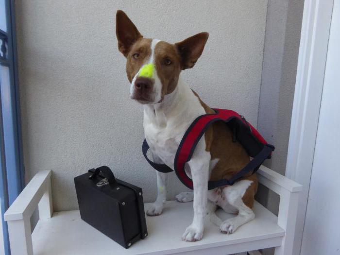 st 128 tk rf part 1 vacation without pay