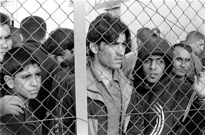 commission and inspection