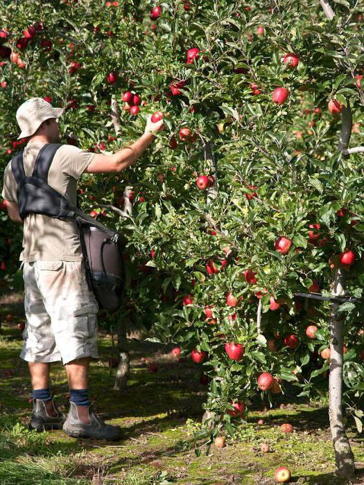 st 58 tk rf comments