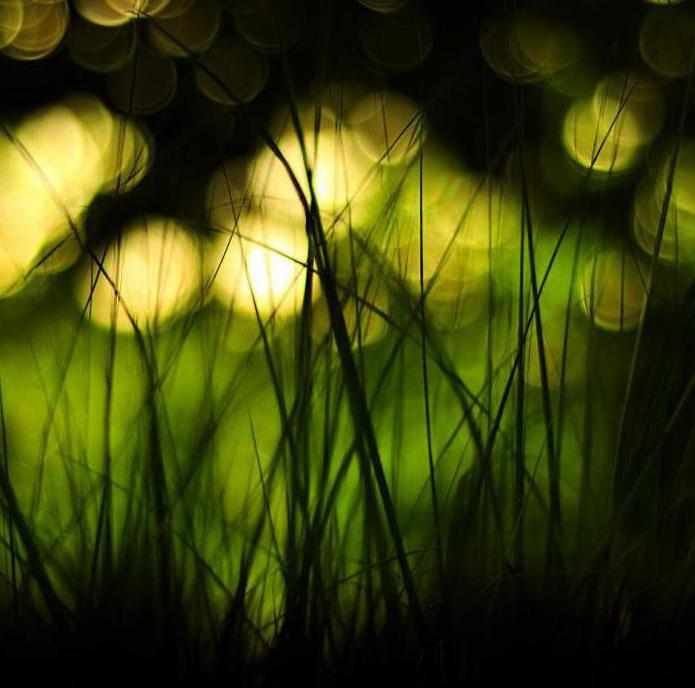 degradation of society