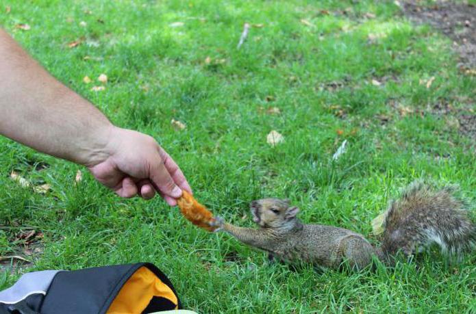 causes of degradation