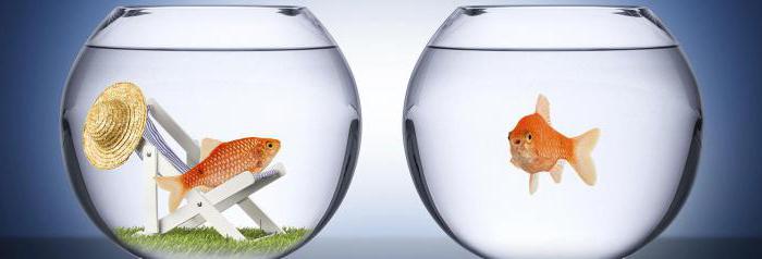 period of stagnation