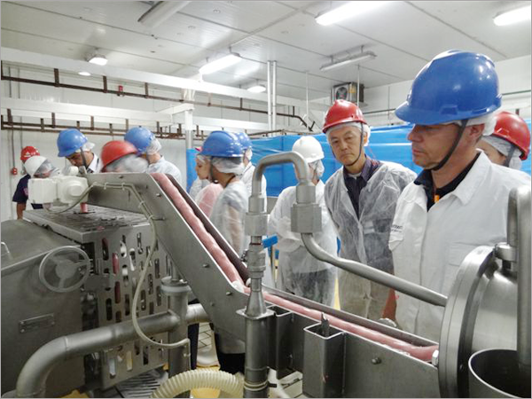 sausage production business plan