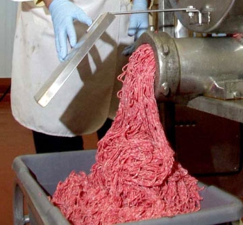 cheburechnaya on wheels