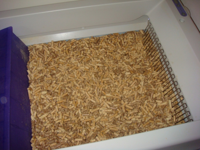 cat litter production