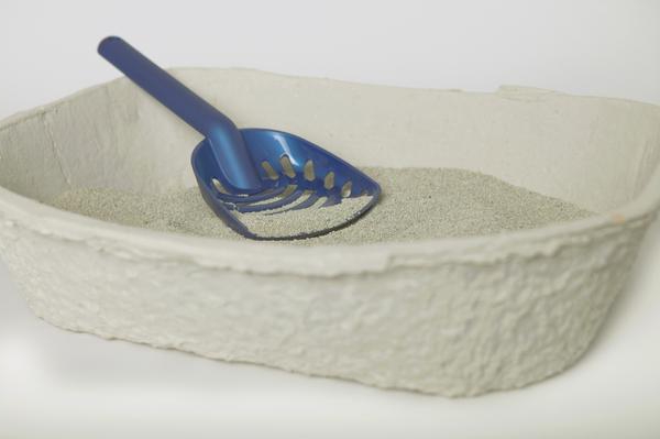 wood filler production