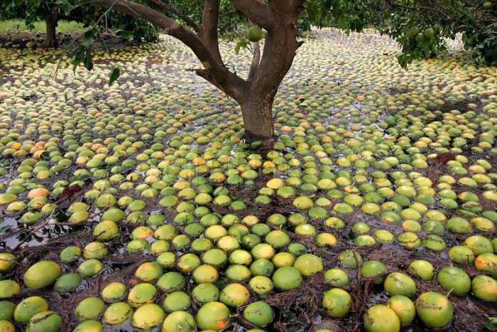 types of enterprise risks