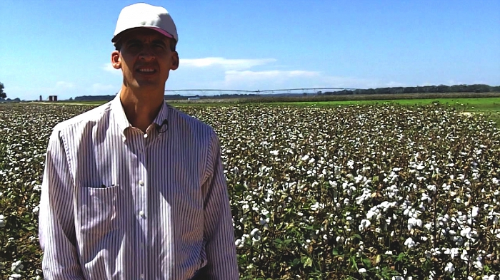 analysis of financial stability of an enterprise example