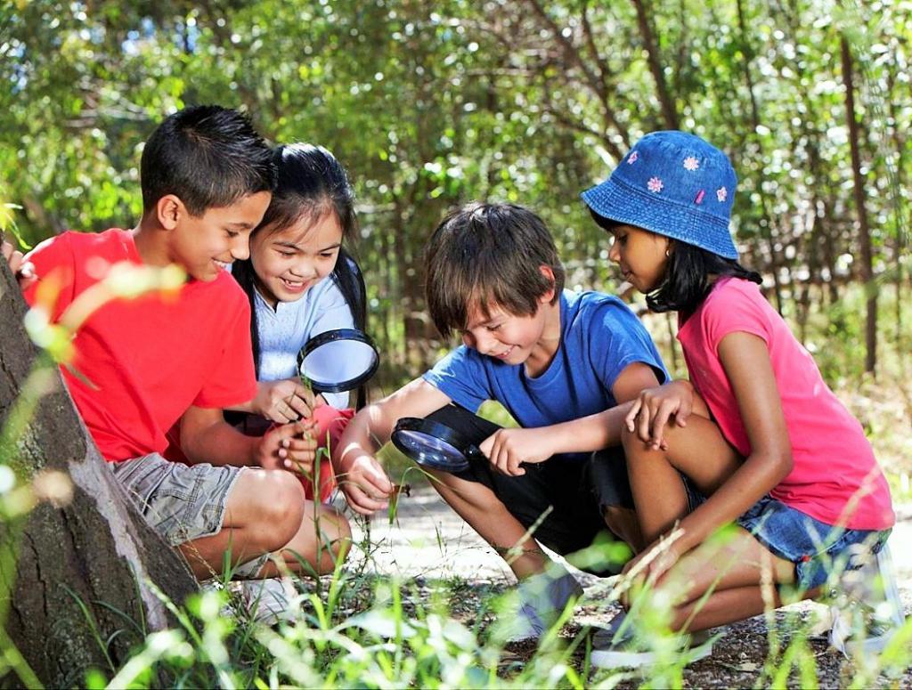 teacher organizer at school responsibilities