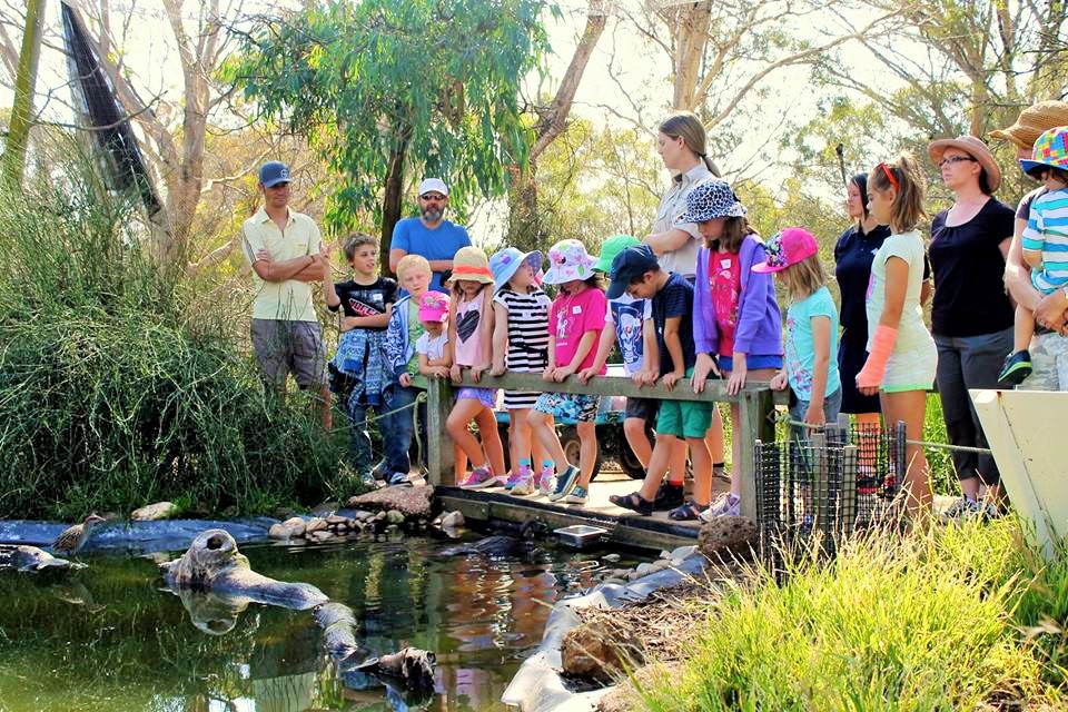 functional responsibilities of the teacher of the organizer at school