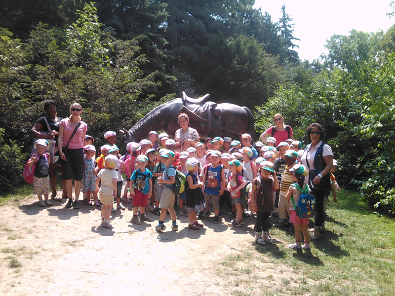 Responsibilities of the organizer teacher