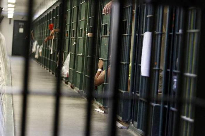 obtaining a criminal record certificate